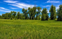 770 COBBLECREST Road, Driggs, ID 83422