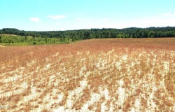 210 Hugh White State Park Road, Grenada, MS 38901