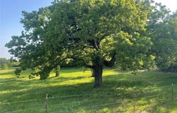858 County Road 2395, Alvord, TX 76225