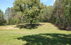 6450 Hwy 140 E, Buchanan, TN 38222