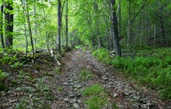 0 County Hwy 7, Colchester, NY 13755