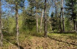 8293 Interlachen Road, Lake Shore, MN 56468