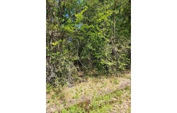 116 Lindy Lee Lane, Mabank, TX 75156