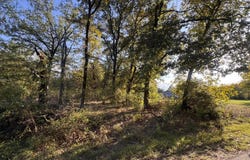 1159 Bora Bora St, Tool, TX 75143