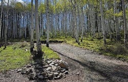 571 Crest Drive, Cimarron, CO 81220