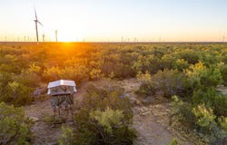 Walnut Road, Robert Lee, TX 76945