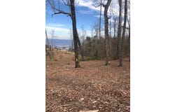 418 Brow Wood Lane, Lookout Mountain, GA 30750