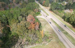 Dear Drive, Mendenhall, MS 39114