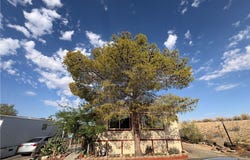 6161 Ocotillo Avenue, 29 Palms, CA 92277