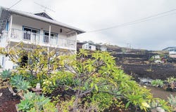 88-1520 EHIKU AVE, Captain Cook, HI 96704