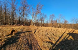 290 Ashton Woods, Moorefield, WV 26836