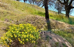 0 Piute Meadows Road, Caliente, CA 93518