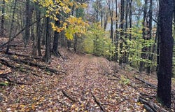 Co Rd 5, Genesee, NY 14770