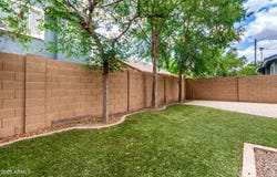 4368 E CULLUMBER Street, Gilbert, AZ 85234