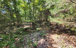 L-50, B-3 Lightning Circle, Highland, AR 72529