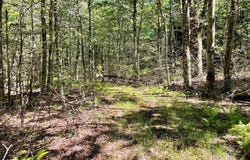 3045 Red Hill Road, Grahamsville, NY 12740
