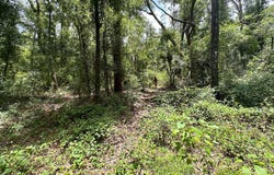 OBrien, FL 32071