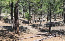 Lot L2, Belle Fourche, SD 57717
