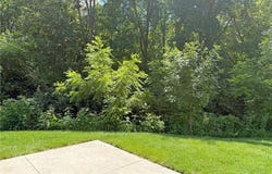 30 Cedar Court, Annandale, MN 55302
