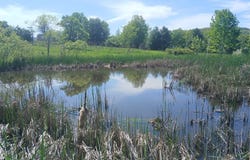 2323 Cotton Hollow Road, Athens, PA 18810