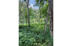 Tbd Quiet Way, Vasa Twp, MN 55089