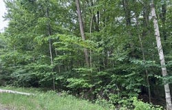 114 Bluff Drive, Leroy, MI 49655