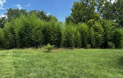 605 Selene ST, Lynchburg, VA 24503
