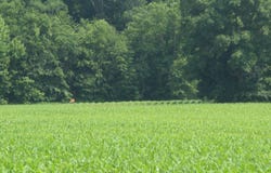 0000 South Co Road 125E, Clay City, IN 47841