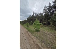 County Line Road, Kingsley, MI 49649