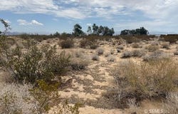 Plains, Blackbird, Inyokern, CA 93527