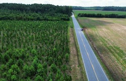 000 Brickyard Road, Wallace, SC 29512