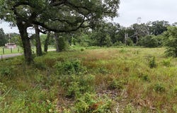 0046 Highway 37, Talco, TX 75487