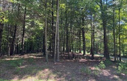 Tbd Cove Ln, Woodlawn, VA 24381