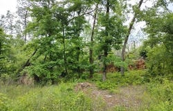 40 Hidalgo Drive, Hot Springs Village, AR 71909