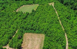 2471 Camden Bypass, Camden, AL 36726