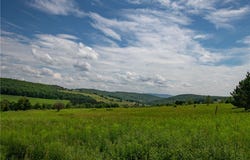 2690 Freer Hollow Road, Franklin, NY 13755