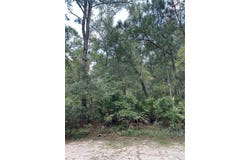 Delegal Drive NE lot: 63, Townsend, GA 31331
