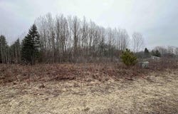 LOT 19 CRESTVIEW DRIVE, CADILLAC, MI 49601