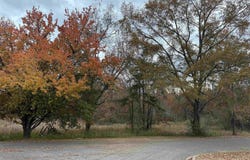 3 SPRING COVE ROAD lot: 3, WARRIOR, AL 35180