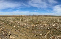 TBD 300 Ave, Winner, SD 57580