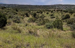 Mountain View Road, Silver City, NM 88061