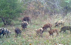 3324-a County Road 3206, Dawson, TX 76639