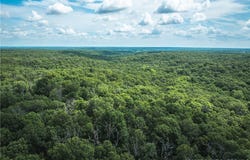 Tbd Geronimo Springs Road-Tract 2, Macks Creek, MO 65786