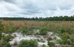 Oak Ridge Church Road, Kershaw, SC 29067