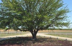 3064 Fm 1082, Hawley, TX 79525