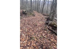 0 Charlie Wood Road, Delhi, NY 13752