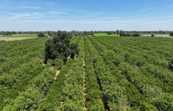 9415 21st Avenue, Lemoore, CA 93245