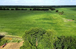 121 Ac FM 904 Road, Commerce, TX 75428