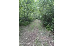 Noslen Rd, Knoxville, TN 37924
