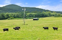 10674 ADA ROAD, MARSHALL, VA 20115